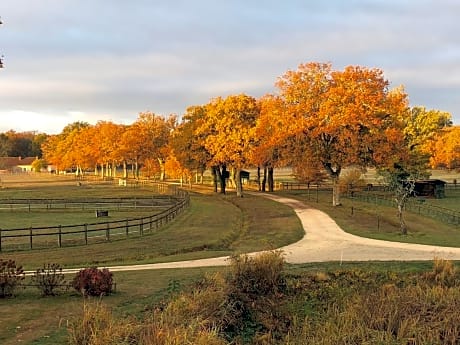 Haras du Vignault Le Bûcher