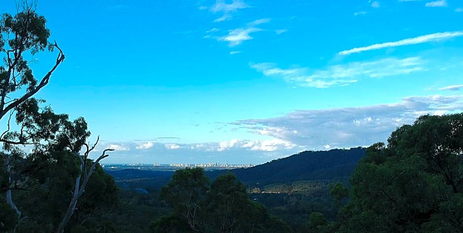 Gold Coast Tree Houses
