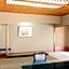 Hotel Dougashima New Ginsui