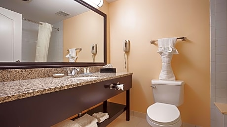 Suite-1 Queen Bed, Non-Smoking, High Speed Internet Access, Whirlpool, Microwave And Refrigerator, F