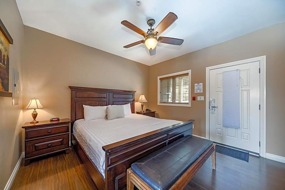 The Castle at Swan Lake