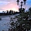 Tenuta Orsanese
