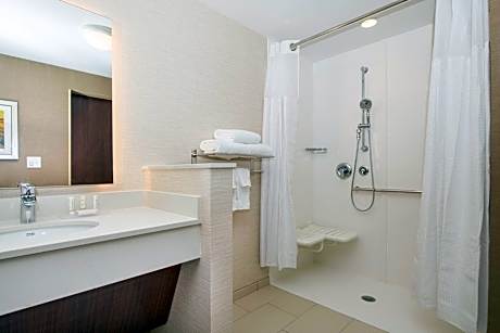 Room, 1 King Bed (Mobility Accessible, Tub) (1 King Bed)