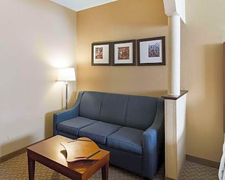 Efficiency King Suite - Non-Smoking