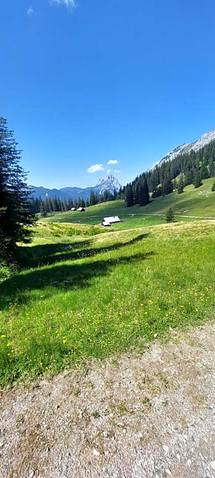Gasthof International