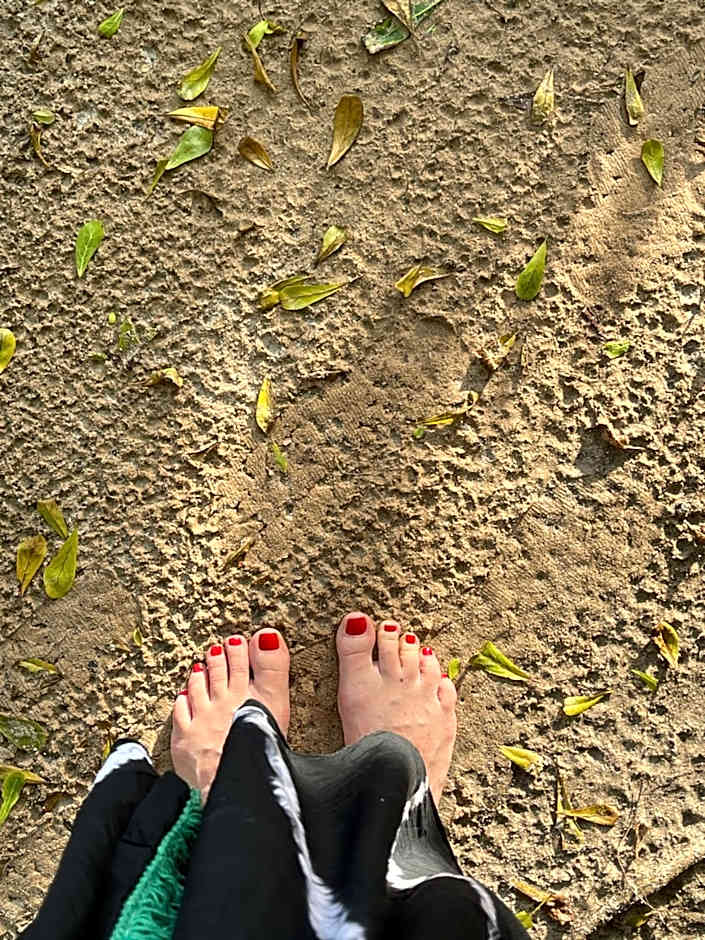 Maui Maui Wellness- Taipu de Fora - Barra Grande