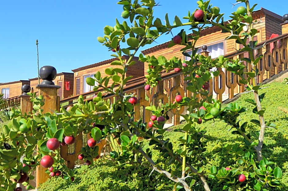 Dakhla Kitesurf World