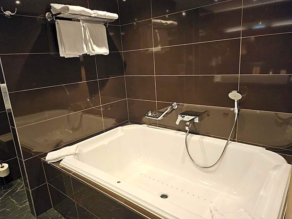 Mercure Hotel Brussels Centre Midi