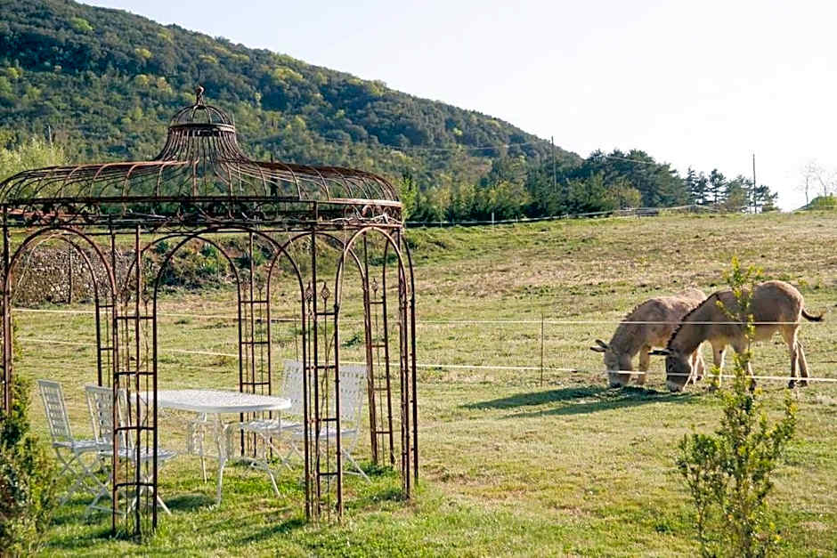 Domaine de Rochebelle