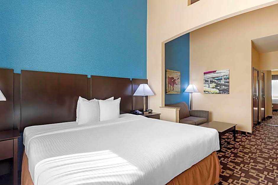 Best Western Plus Arlington North Hotel & Suites