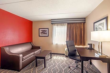 1 King Mobility Accessible Bathtub Sofabed Microwave Fridge Wi-Fi Non-Smoking Full Breakfast