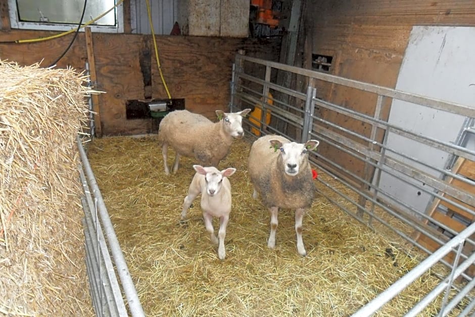 Bed & Breakfast ARKEN AE