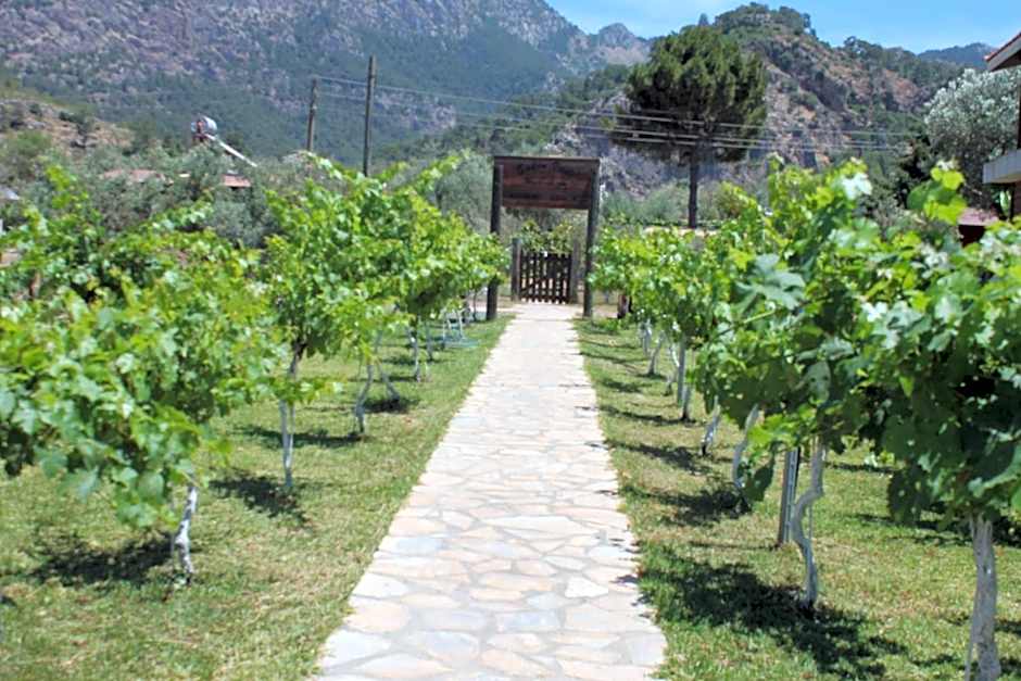 Sakin Vadi Winehouse