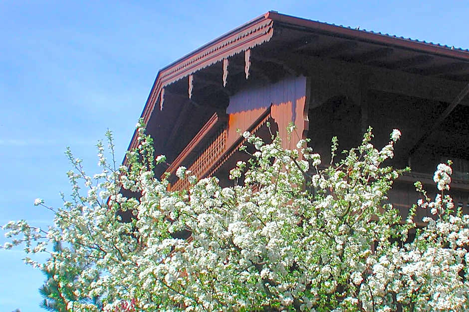 Appart & Hotel Garni Villa Knauer