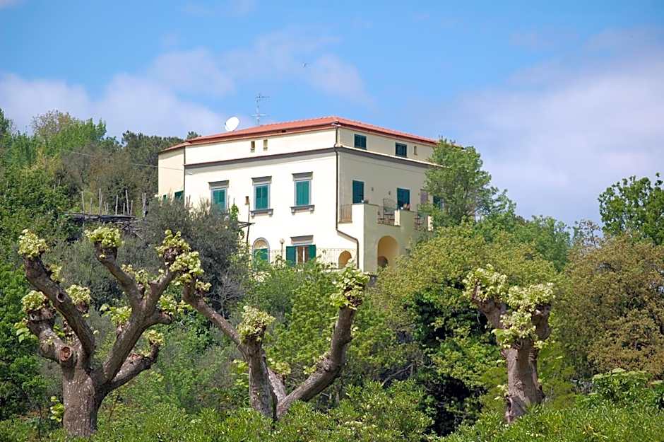 Villa Romita