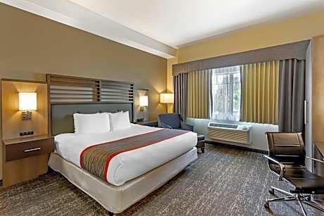 King Room - Pet-Friendly/Non-Smoking