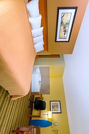 1 King Bed, Studio Suite, Non-Smoking