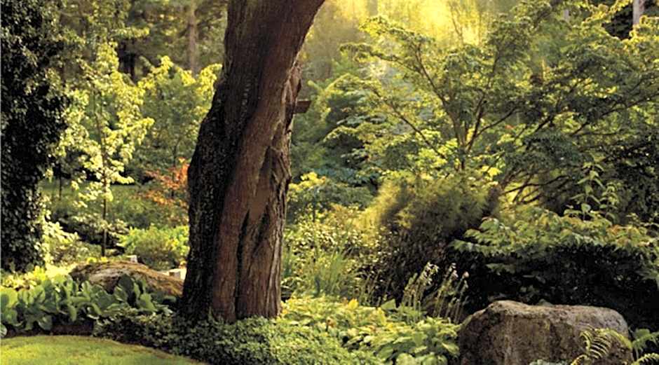 Huka Lodge, Beckons