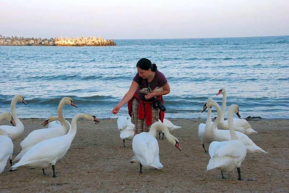 Vila Levent Mangalia