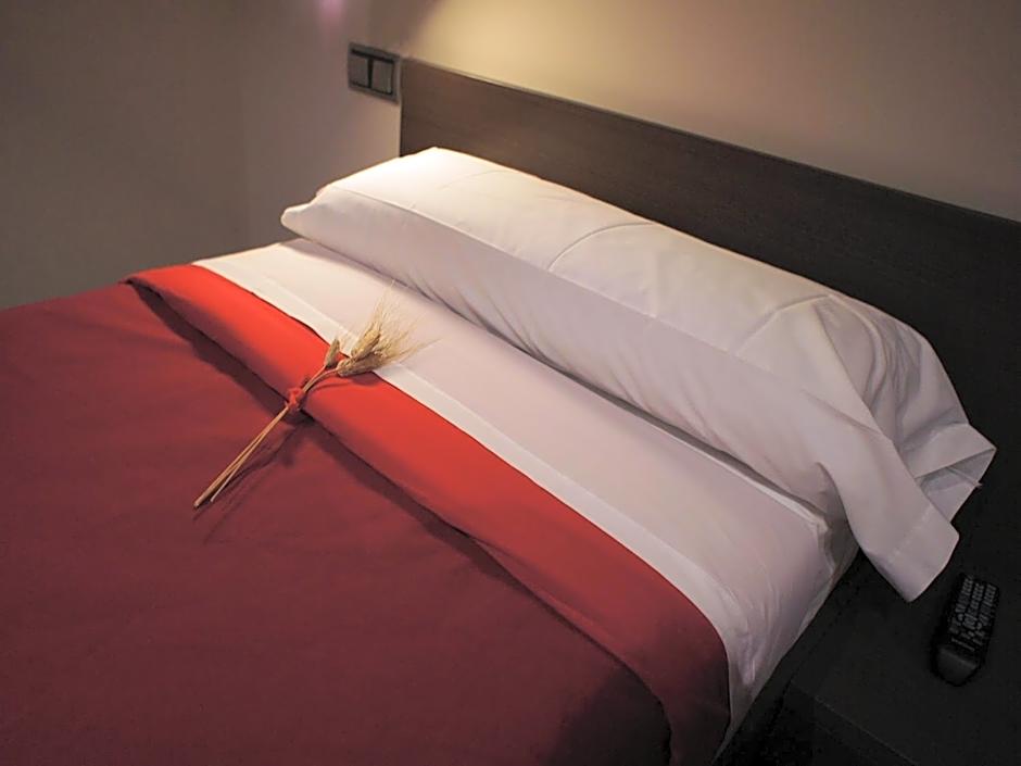 Seminari Allotjaments