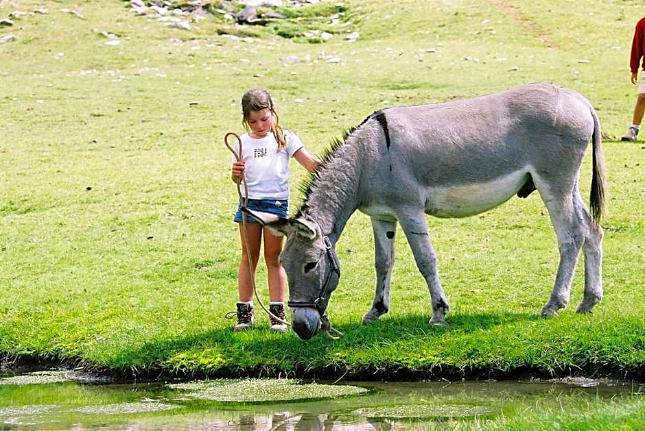 Eco-hôtel et Yourtes du Mercantour