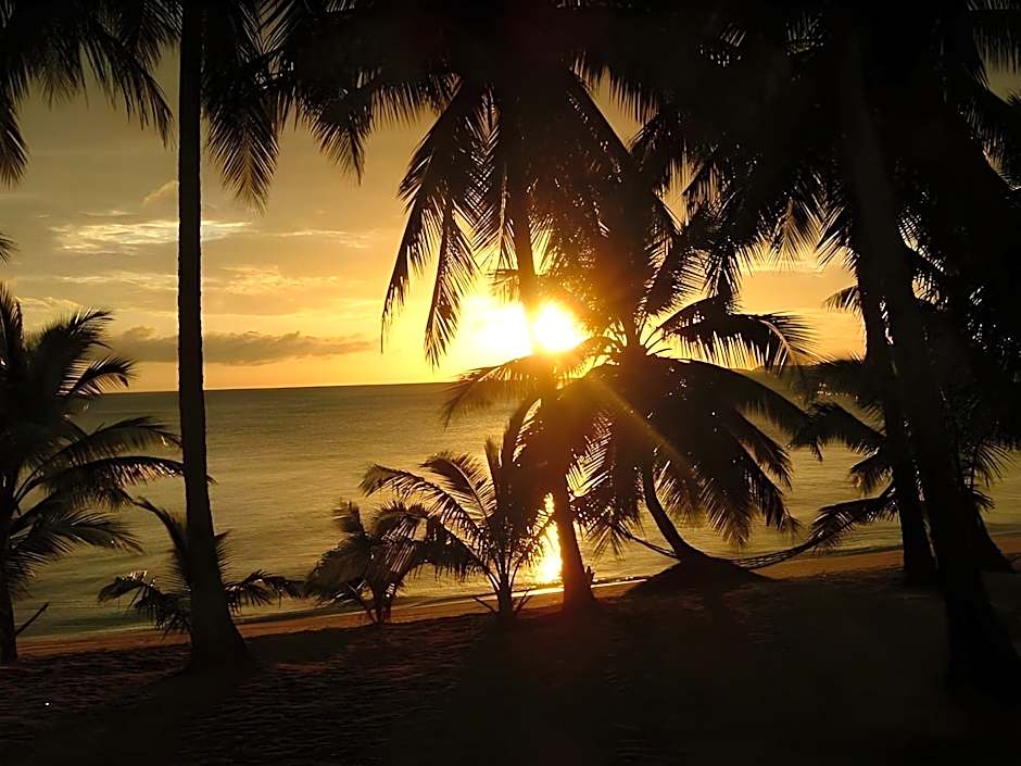 Palm Point Village