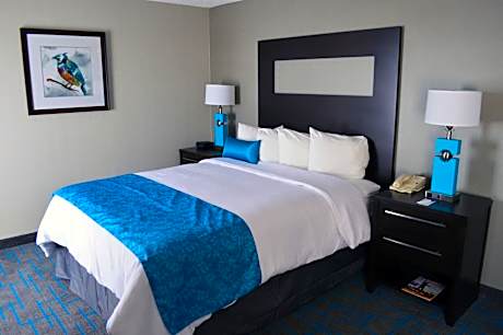 Suite - Mobility Access Roll in Shower/Non-Smoking