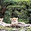 Cheetah Ridge Lodge