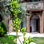 EPHESUS RETREAT