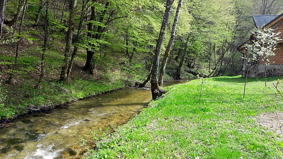 Mobile home Slapnica u Parku prirode Žumberak
