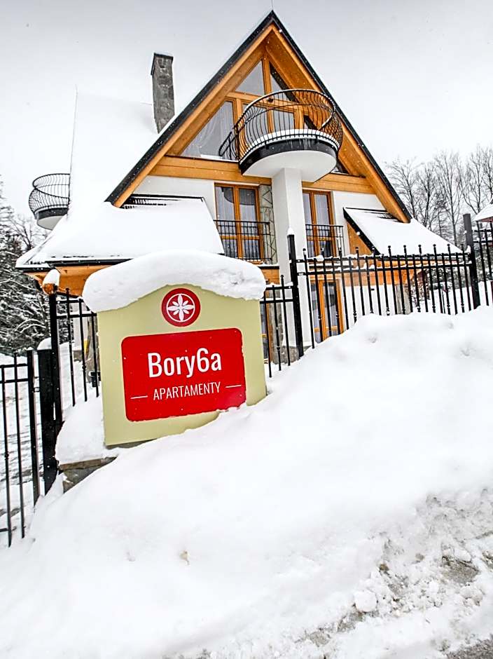 Bory6a Apartamenty & Free Parking