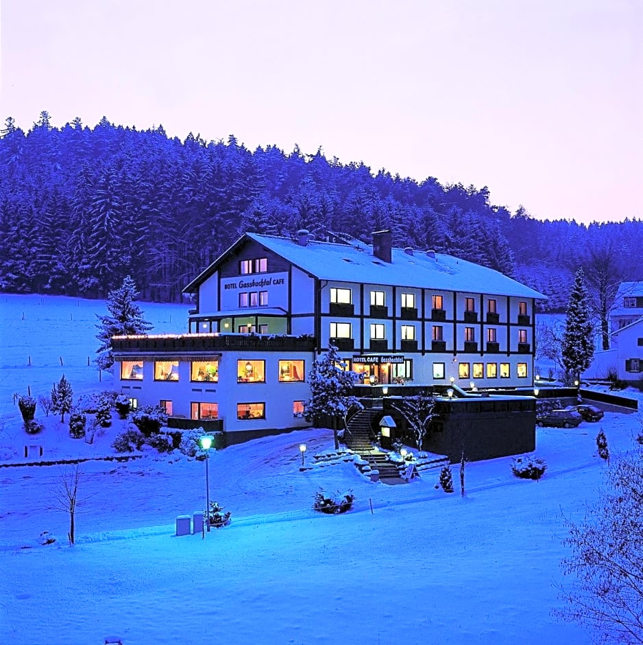 Natur & Wander Hotel Gassbachtal
