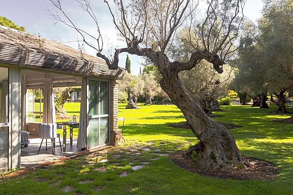 Domaine Les Mésanges