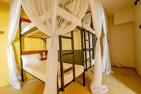 Single Bed in 10-Bed Dormitory Room