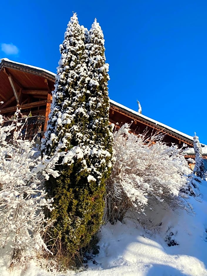 Lodge Jardin Secret - Propriétés Mont Amour