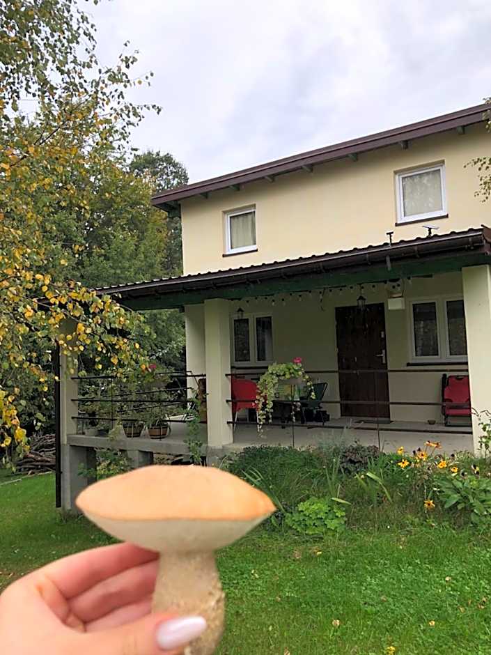 CHEZ YAYA Bogumiła Szeląg
