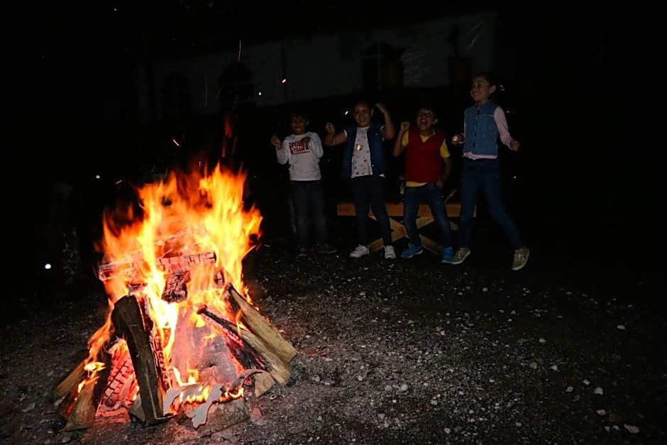 Mision Los Cocuyos