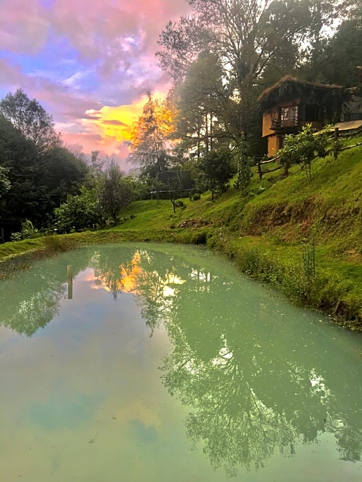 Lofts in The Forest