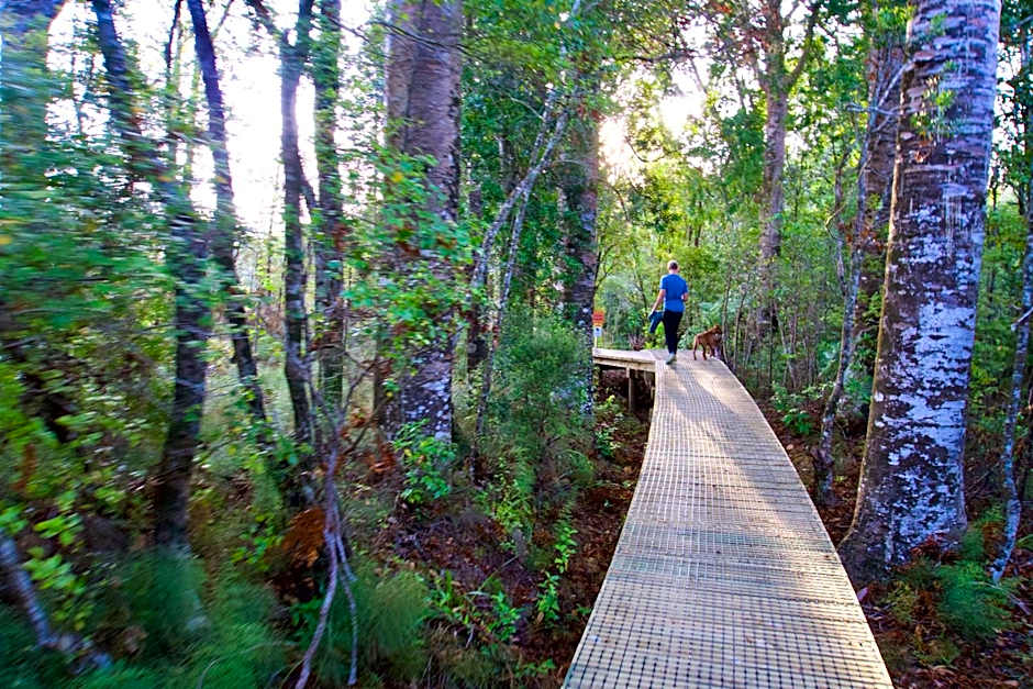 Sapphire Springs Holiday Park and Thermal Pools