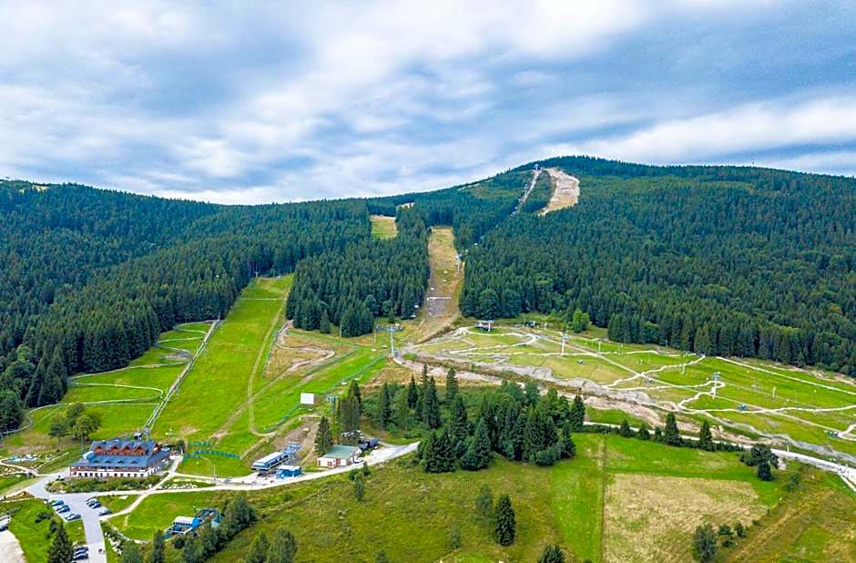 Kosówka Czarna Góra