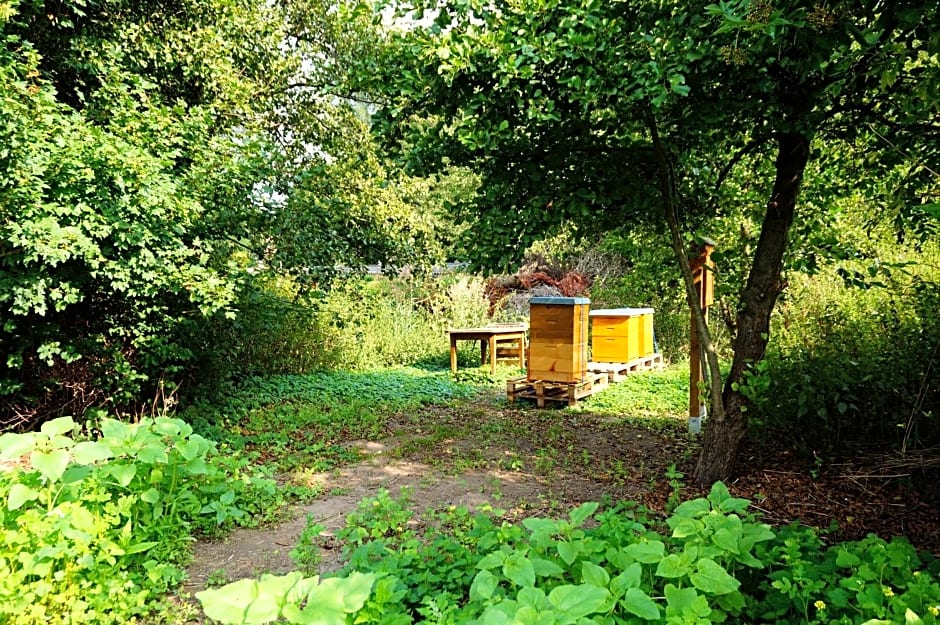 Hotel am Tierpark