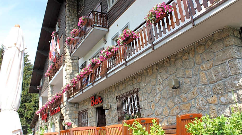 Hotel Des Alpes