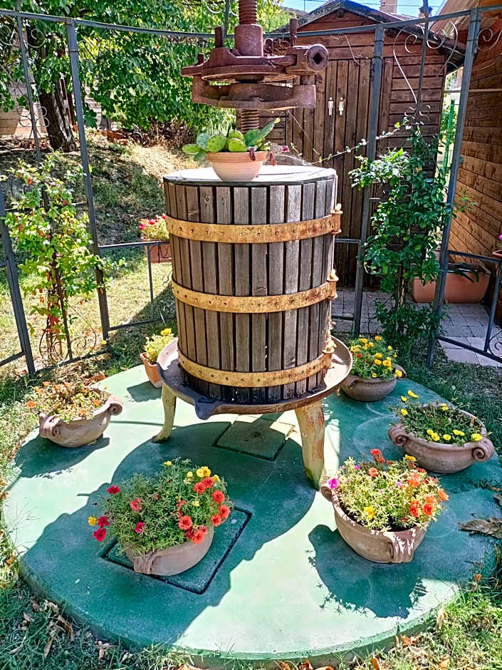 La Sorgente Del Subasio