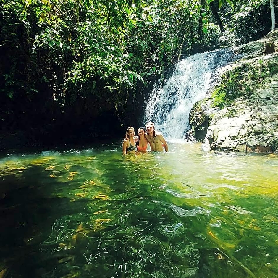 ORANGUTANTREKSUMATRA & LOVELY JUNGLE LODGE only book IF you are treking with us