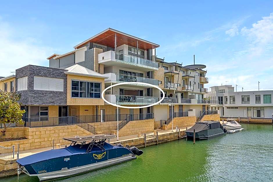 Little Italy Dolphins