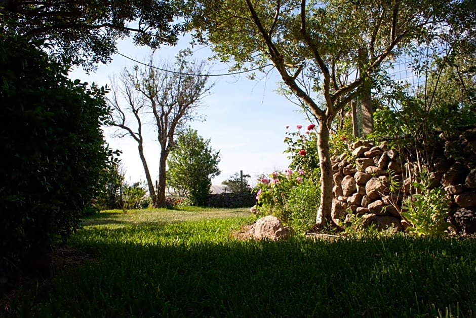 Il Vecchioliveto di Ornella