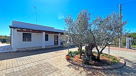 Villa Ulivo, sleeps 7, garden close to the sea