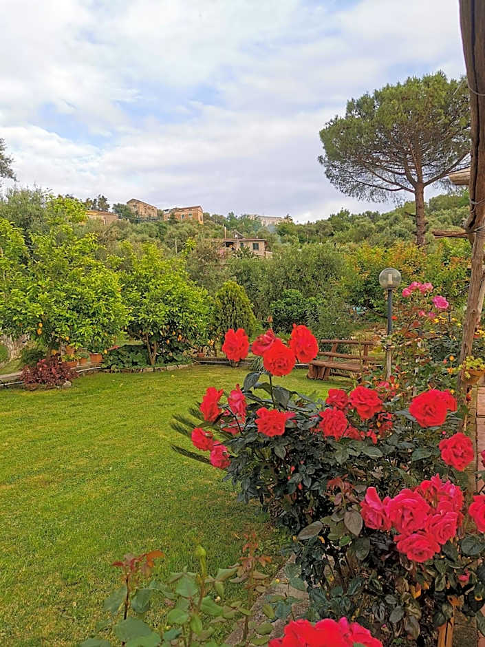 L'Angolo di Campagna