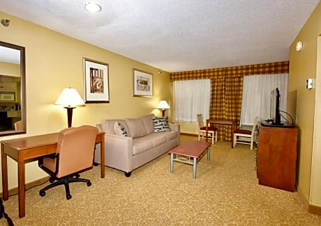 One-Bedroom King Suite