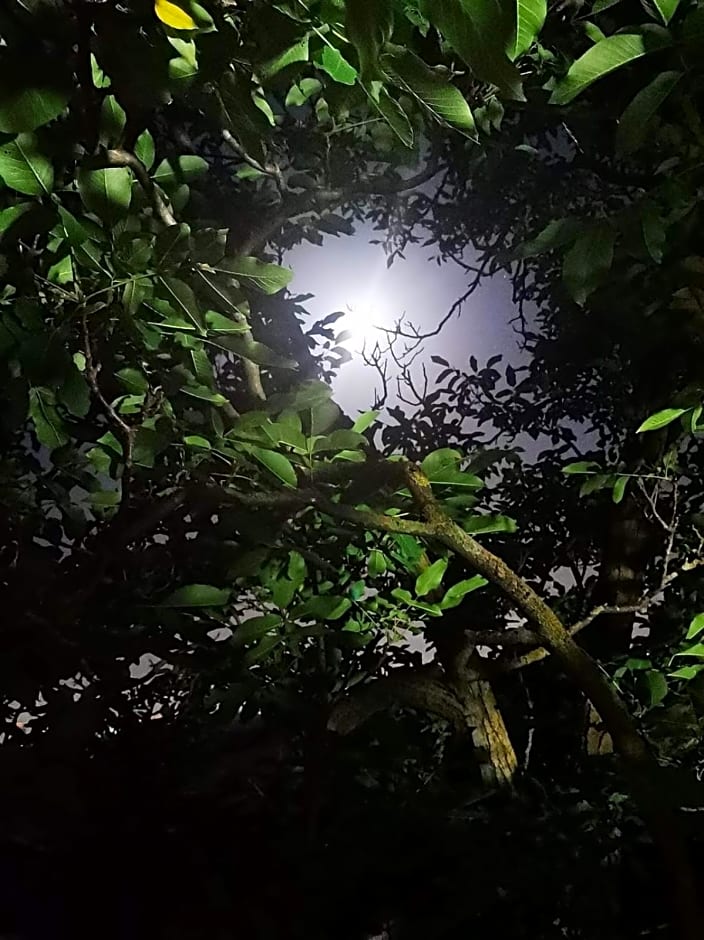 Bed and Breakfast Nonna Loreta